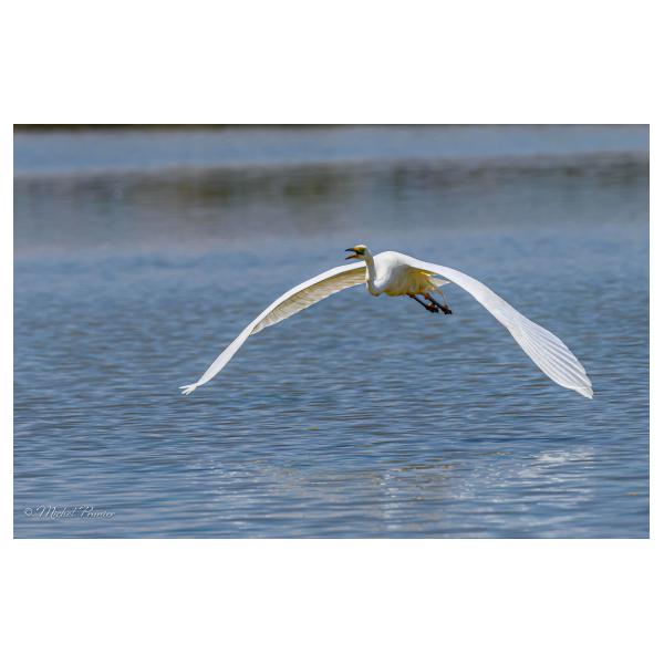 PHOTO84, CLUB, 84 , LUBERON